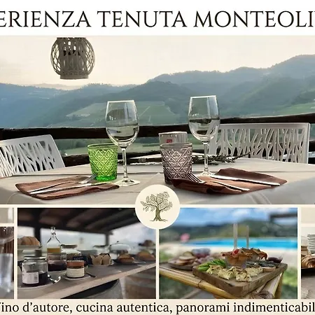 Farmház Monteoliveto Relax Vesime